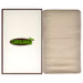Rumostore
